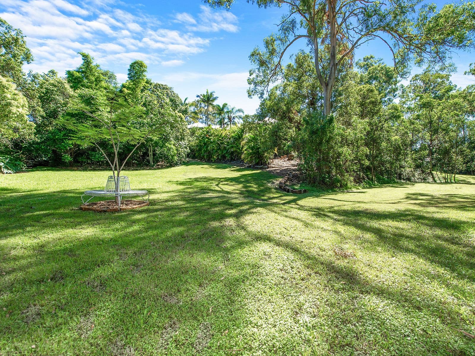 45 Bunya Road, Everton Hills QLD 4053, Everton Hills - Thumbnail 4