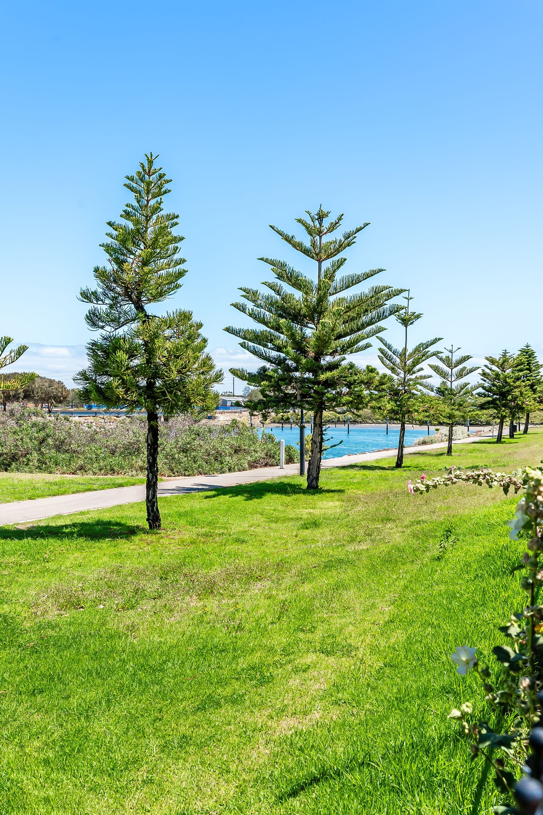 9 Formby Crescent, Port Adelaide SA 5015, Port Adelaide - Thumbnail 3