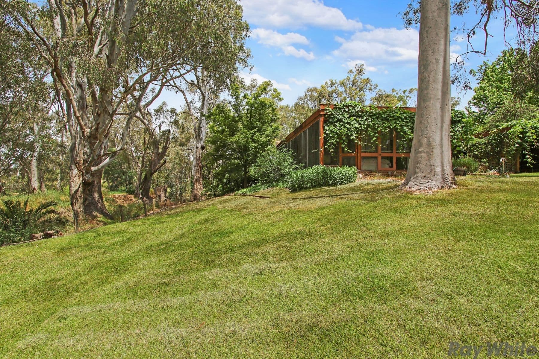 17 McConnan Street, Benalla VIC 3672, Benalla - Image 1