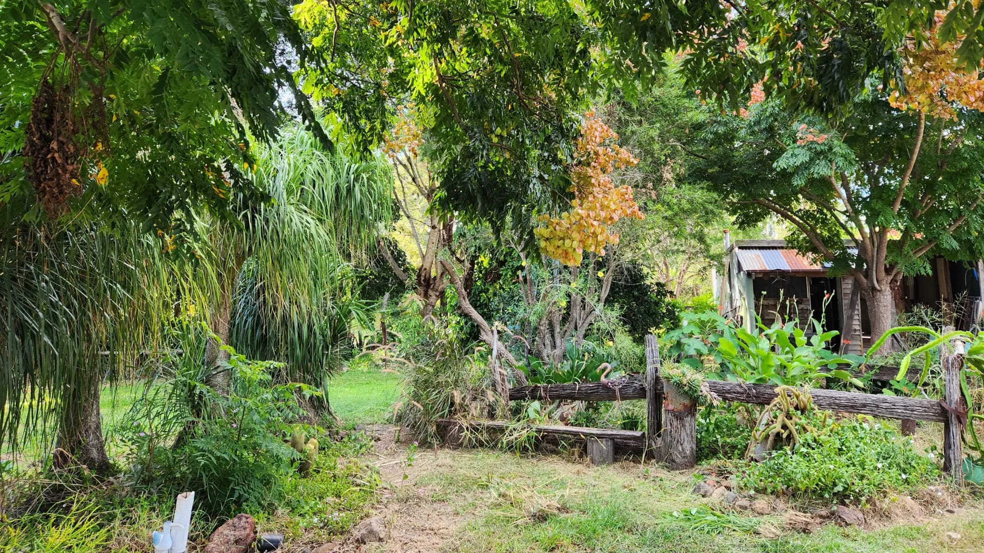 175 Old Nanango Road, Gayndah QLD 4625, Gayndah - Thumbnail 5