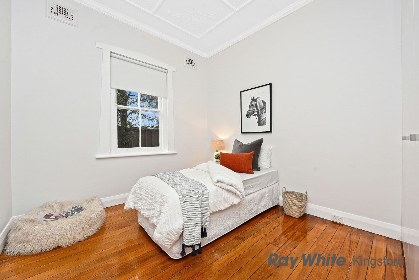 255 Doncaster Avenue, Kingsford - Thumbnail 7