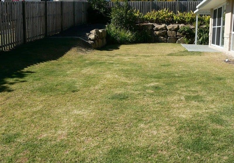 3 Lawson Street, UPPER COOMERA QLD 4209, Upper Coomera - Thumbnail 4