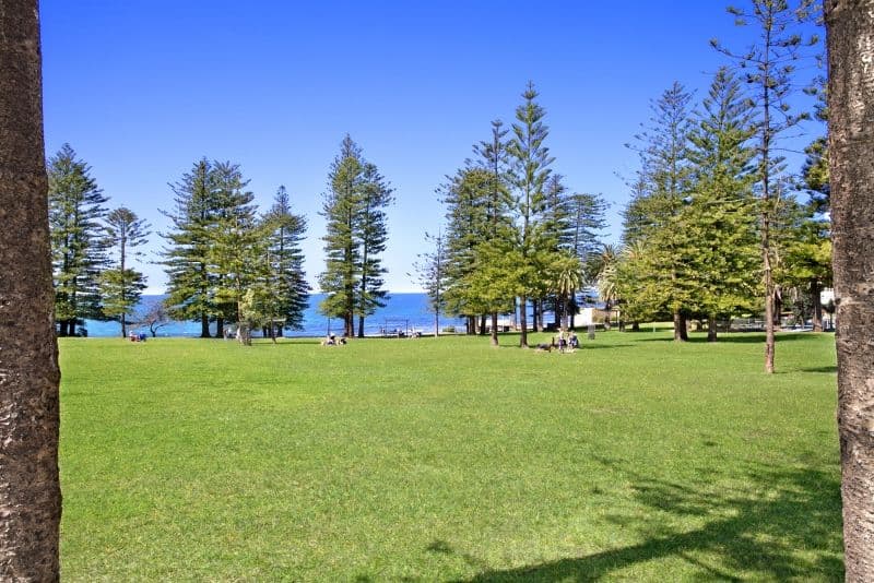 91 Ewos Parade, CRONULLA NSW 2230, Cronulla - Thumbnail 6