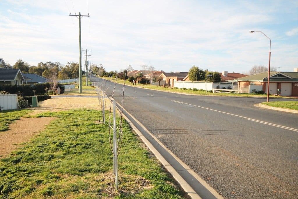 61 Back Creek Road, Young NSW 2594, Young - Thumbnail 6