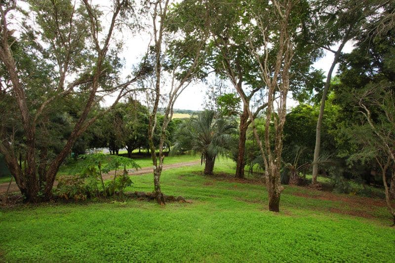 10 Everton Place, ROSEMOUNT QLD 4560, Rosemount - Thumbnail 2