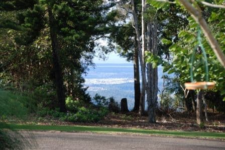 27 - 39  Caryota, NORTH TAMBORINE QLD 4272, North Tamborine - Thumbnail 2