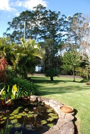 27 - 39  Caryota, NORTH TAMBORINE QLD 4272, North Tamborine - Thumbnail 3