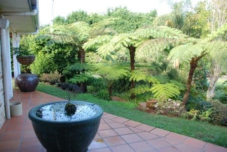 27 - 39  Caryota, NORTH TAMBORINE QLD 4272, North Tamborine - Thumbnail 5