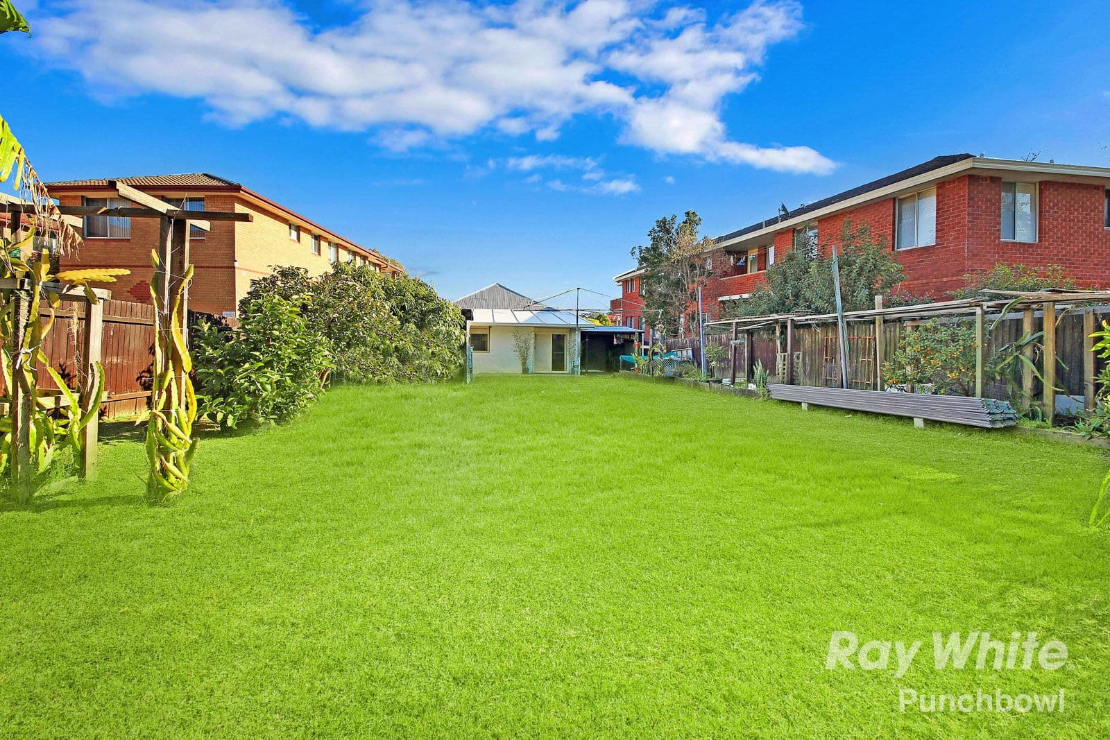 5 Shadforth Street, Wiley Park - Thumbnail 2