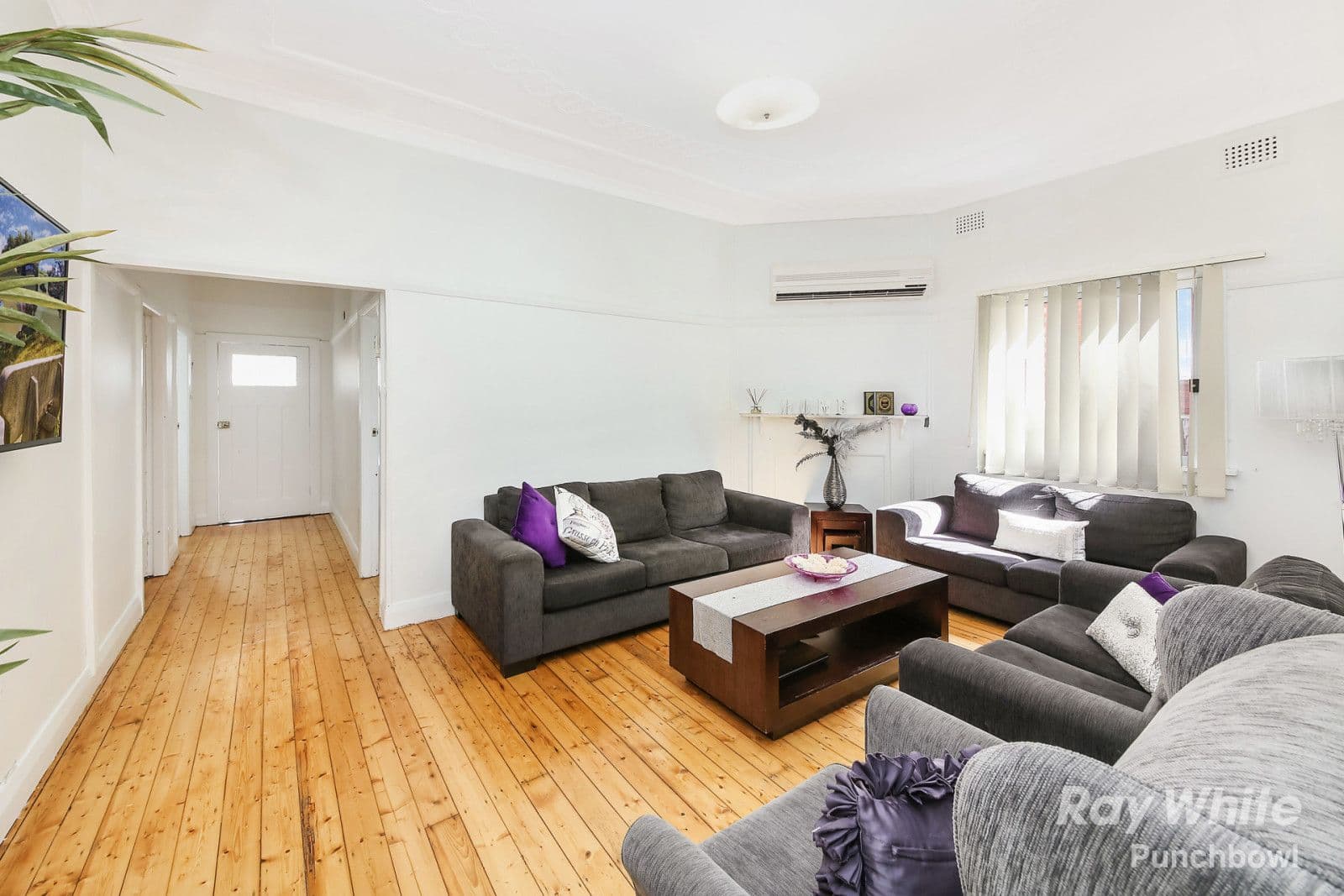 5 Shadforth Street, Wiley Park - Thumbnail 5
