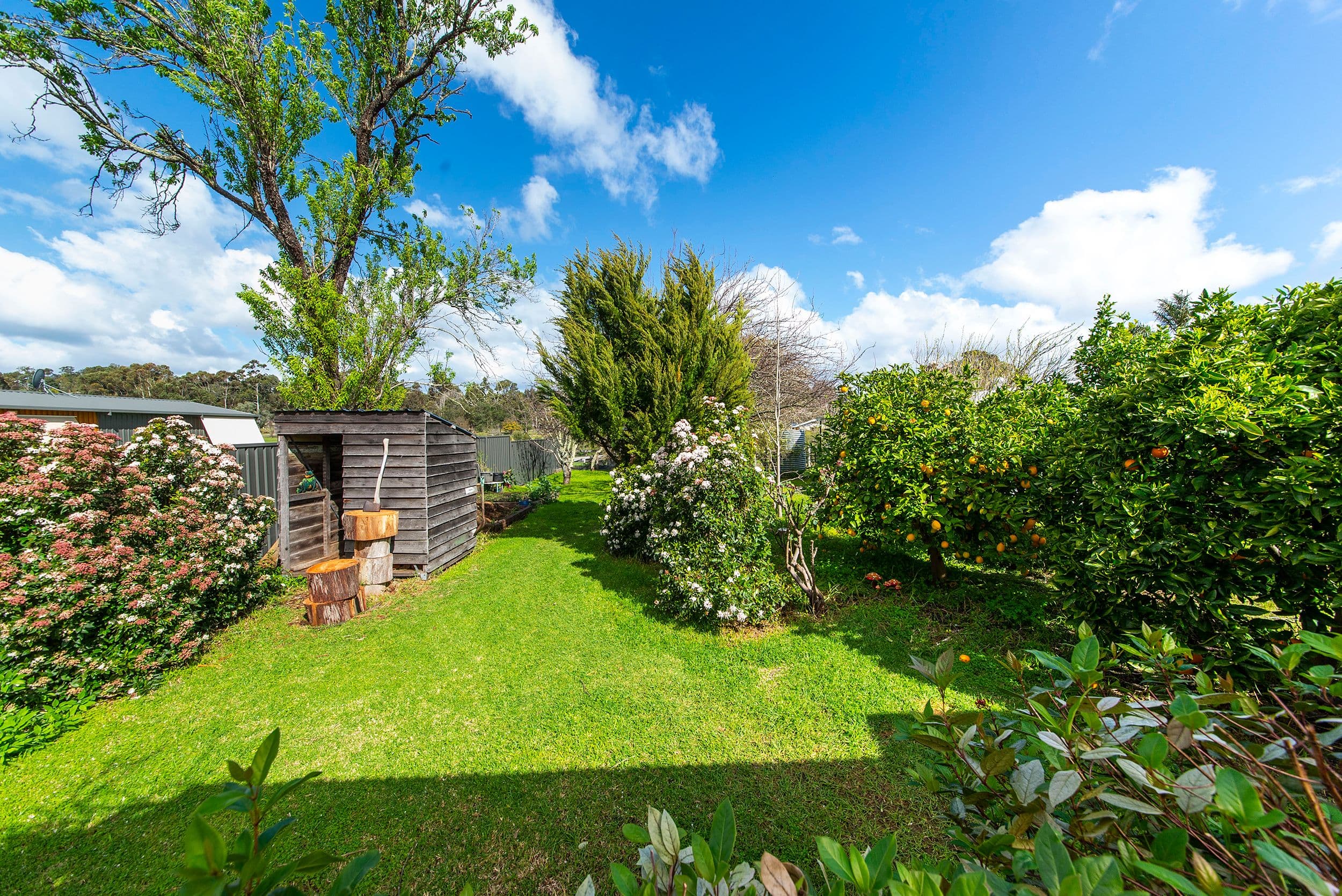 31 Kearney Street, Nannup WA 6275, Nannup - Thumbnail 3