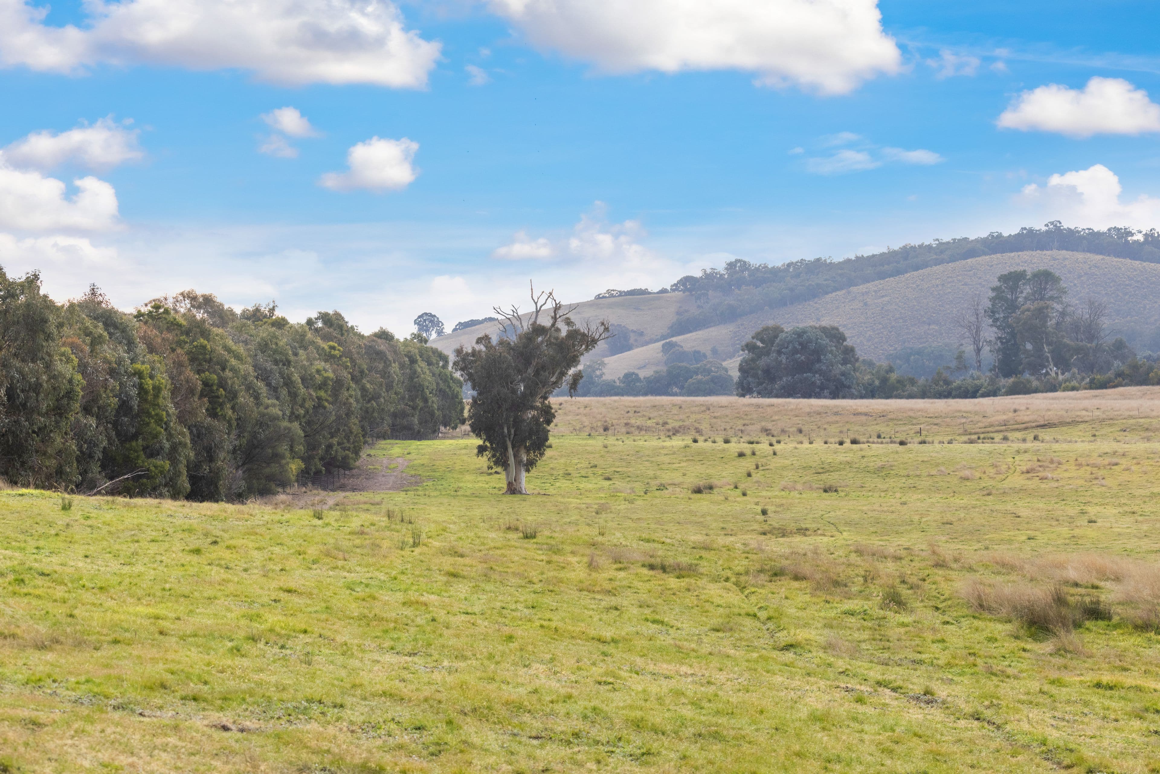 1647 Coolalie Road, Jerrawa NSW 2582, Jerrawa - Thumbnail 3