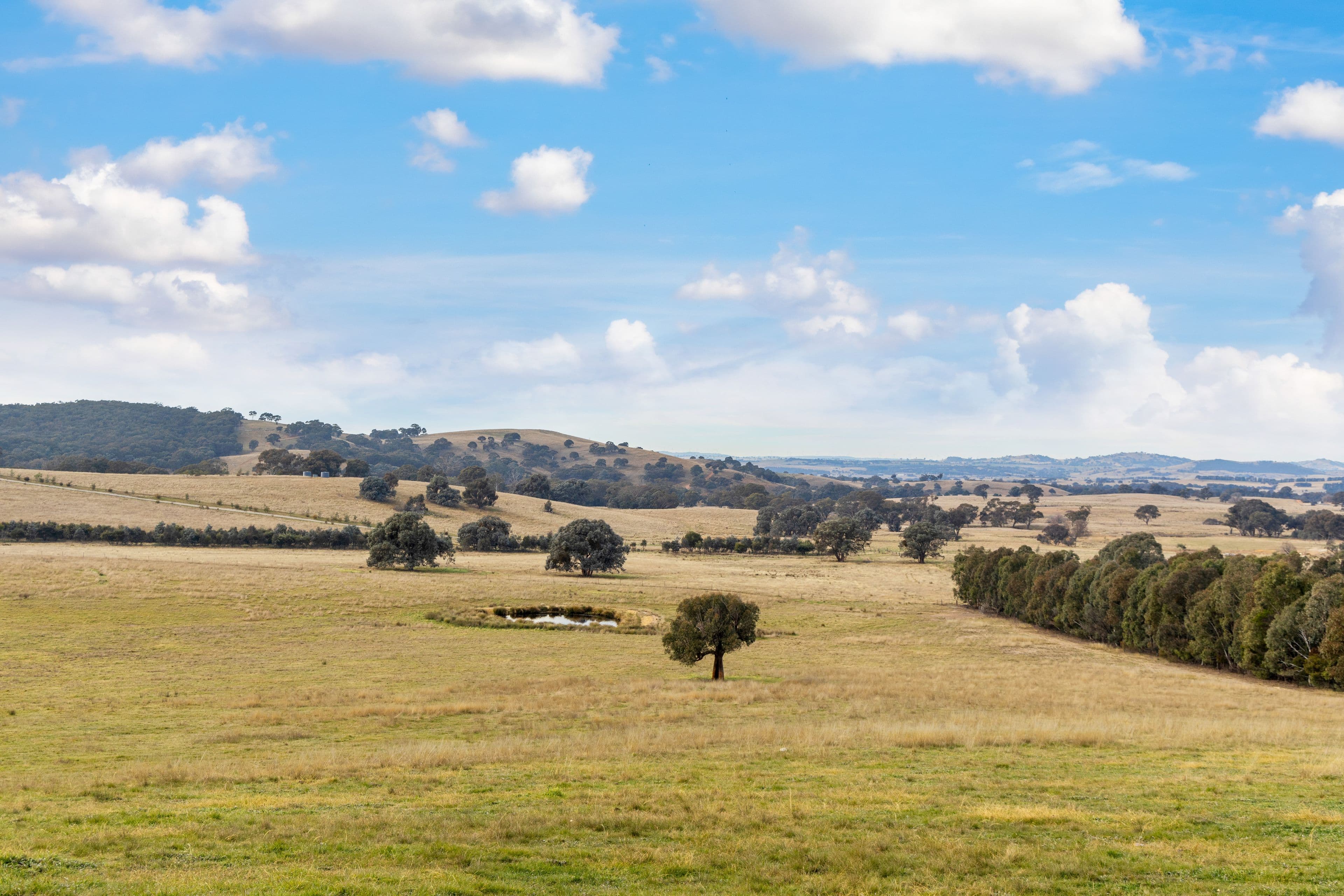 1647 Coolalie Road, Jerrawa NSW 2582, Jerrawa - Thumbnail 4