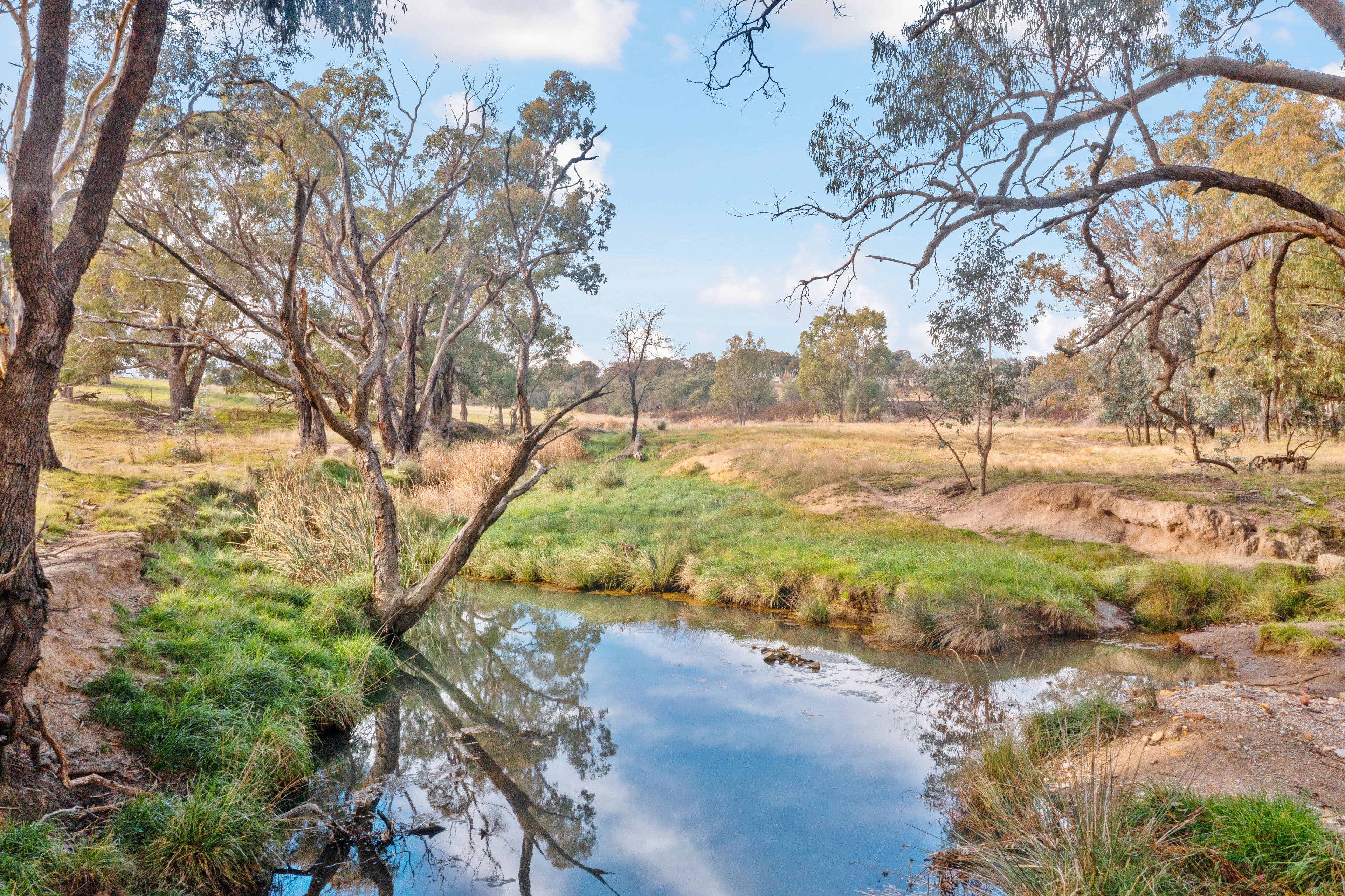 1647 Coolalie Road, Jerrawa NSW 2582, Jerrawa - Thumbnail 8