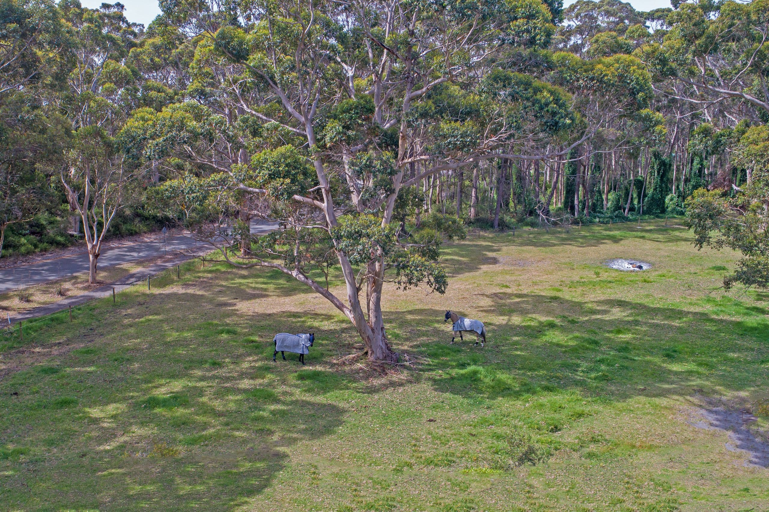 17 Symers Street, Little Grove WA 6330, Little Grove - Thumbnail 5