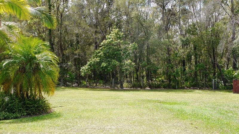 7 Georgina Place, BEERWAH QLD 4519, Beerwah - Thumbnail 4