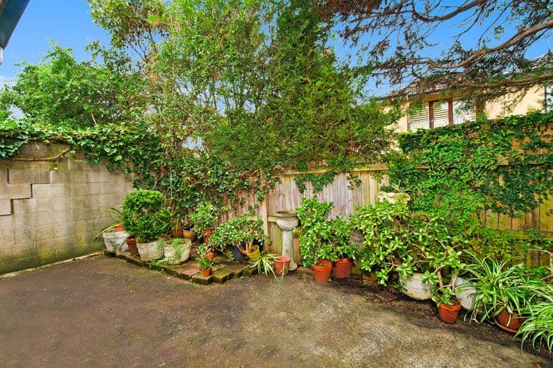 61 Chaleyer Street, ROSE BAY NSW 2029, Rose Bay - Thumbnail 4