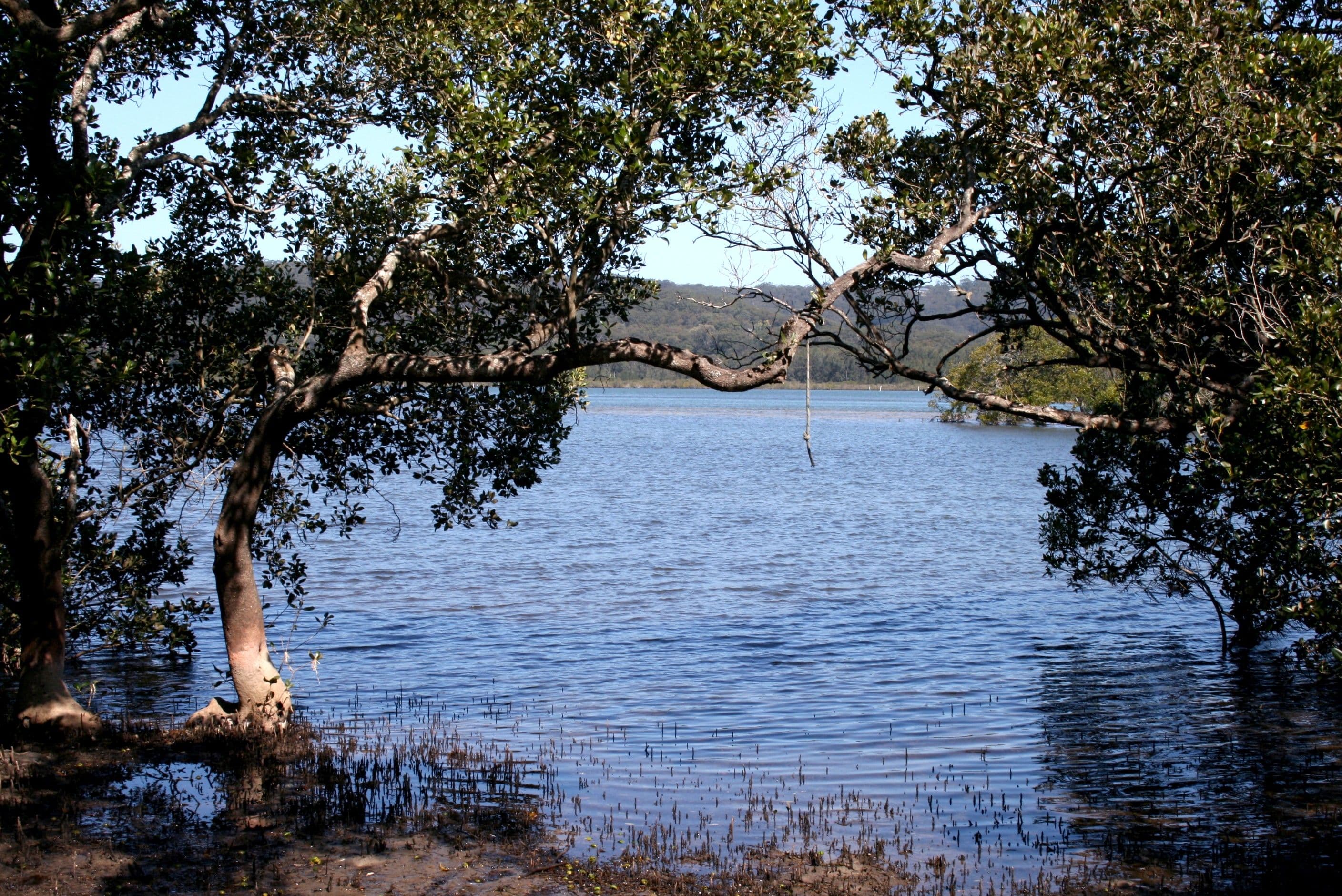 94c Kincumber Crescent, DAVISTOWN NSW 2251, Davistown - Thumbnail 3