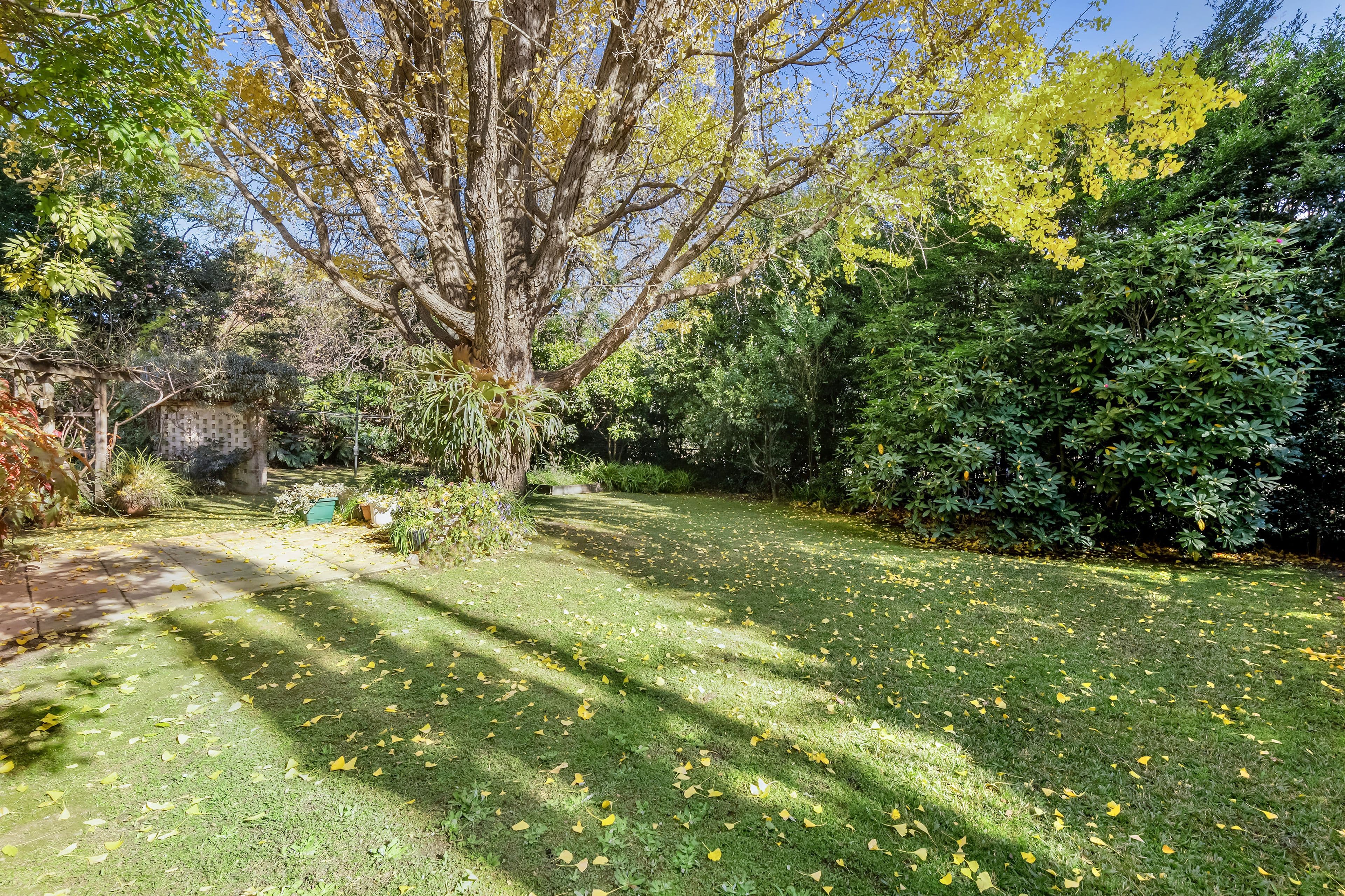 16 Wahroonga Avenue, Wahroonga NSW 2076, Wahroonga - Thumbnail 7