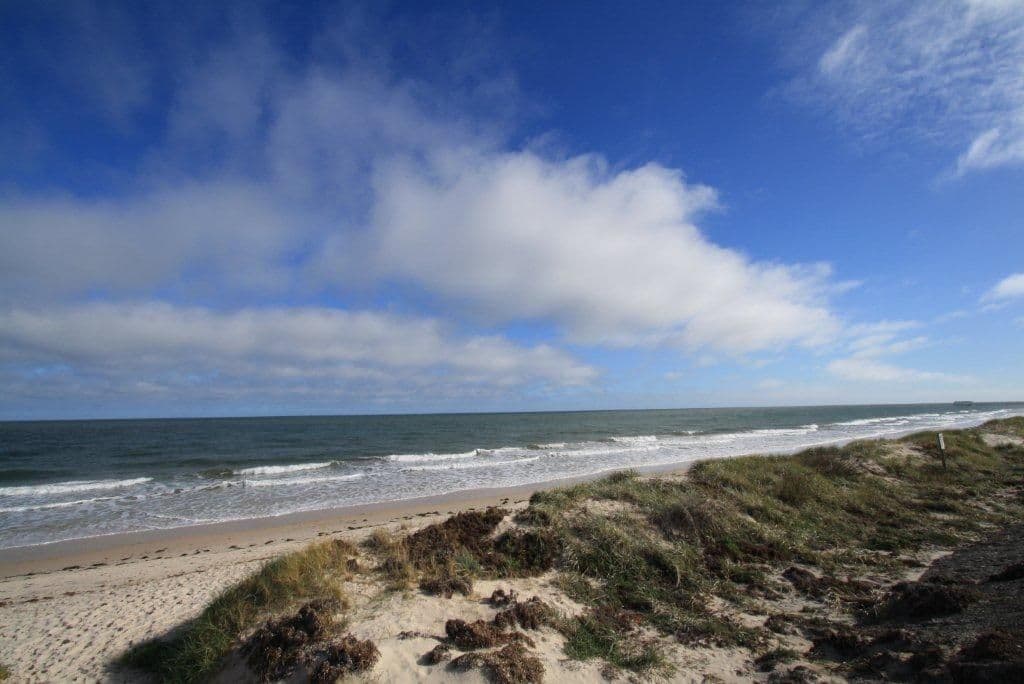 131 Esplanade, HENLEY BEACH SOUTH SA 5022, Henley Beach South - Thumbnail 3