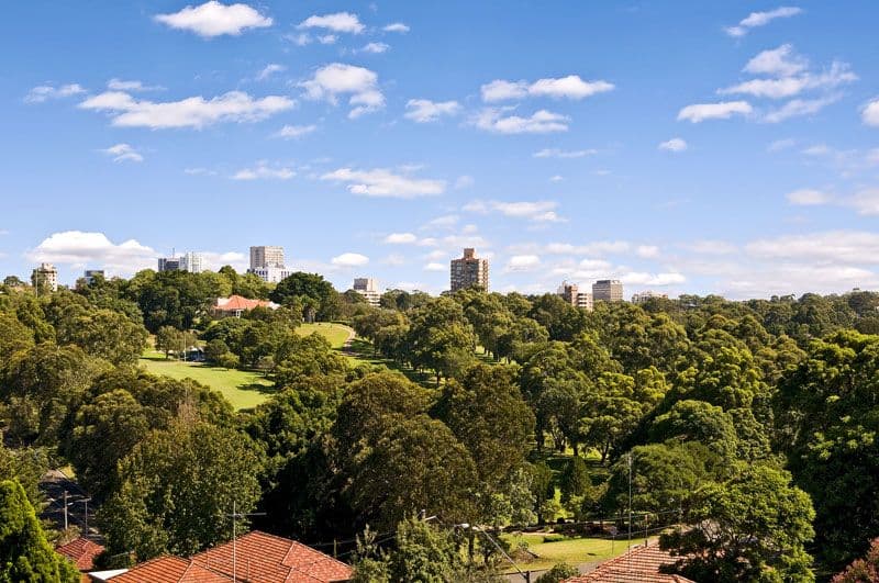 24 Cammeray Road, CAMMERAY NSW 2062, Cammeray - Thumbnail 7