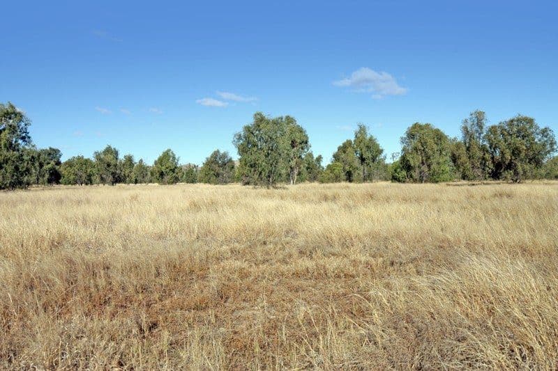 10 Muirs Road, BILOELA QLD 4715, Biloela - Thumbnail 2