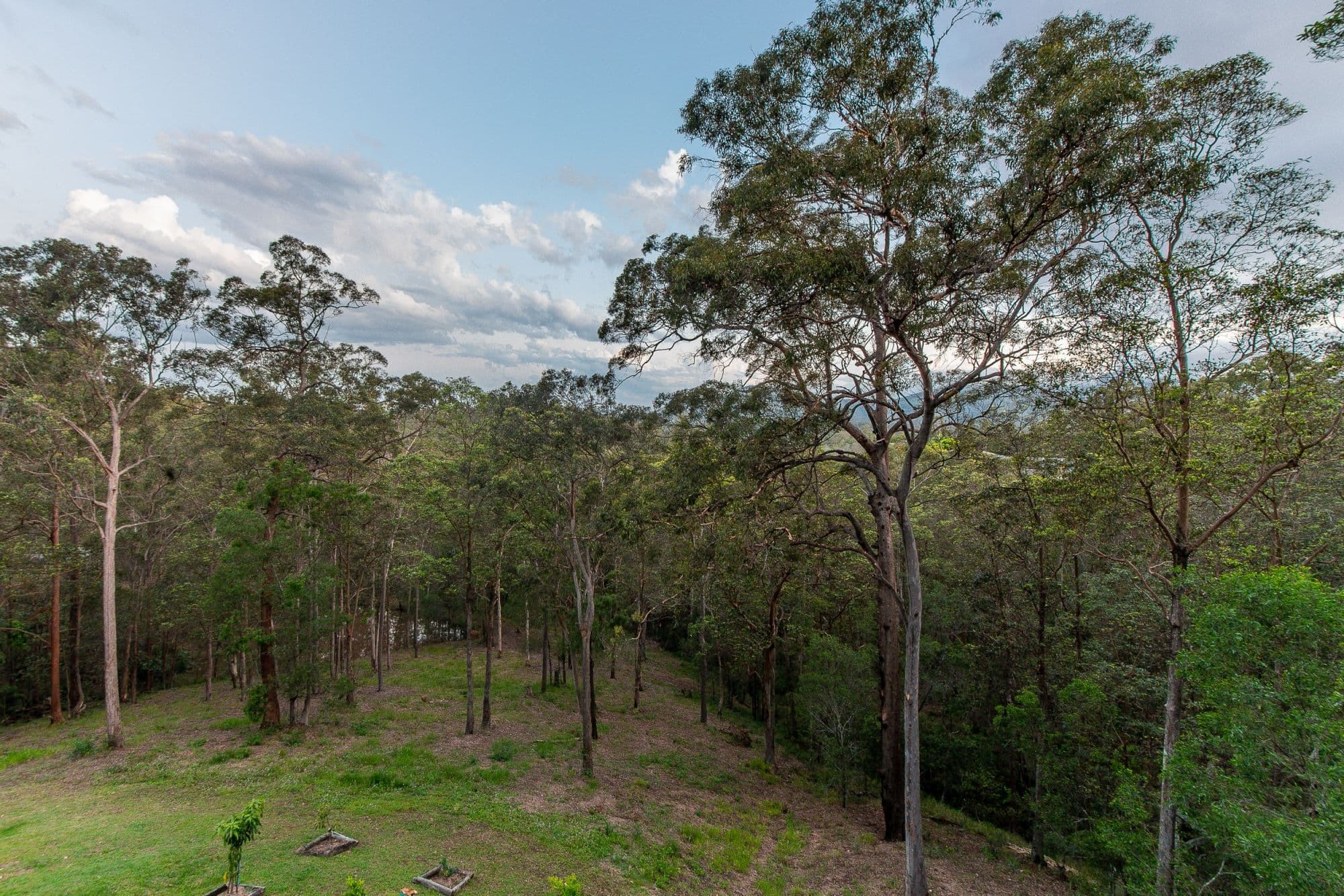 163 Watson Road, Kobble Creek QLD 4520, Kobble Creek - Thumbnail 5