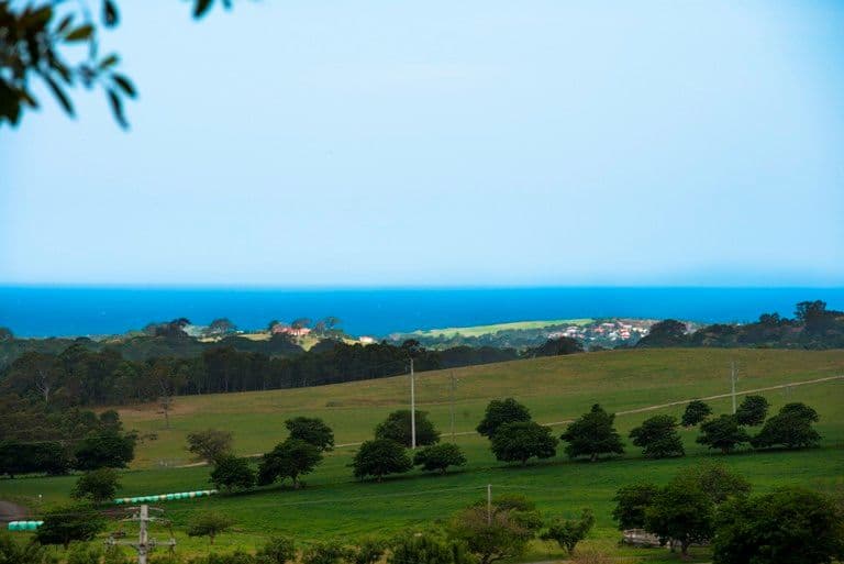 1315 Jamberoo Road, Jamberoo NSW 2533, Jamberoo - Image 1