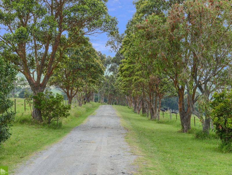 1315 Jamberoo Road, Jamberoo NSW 2533, Jamberoo - Thumbnail 6