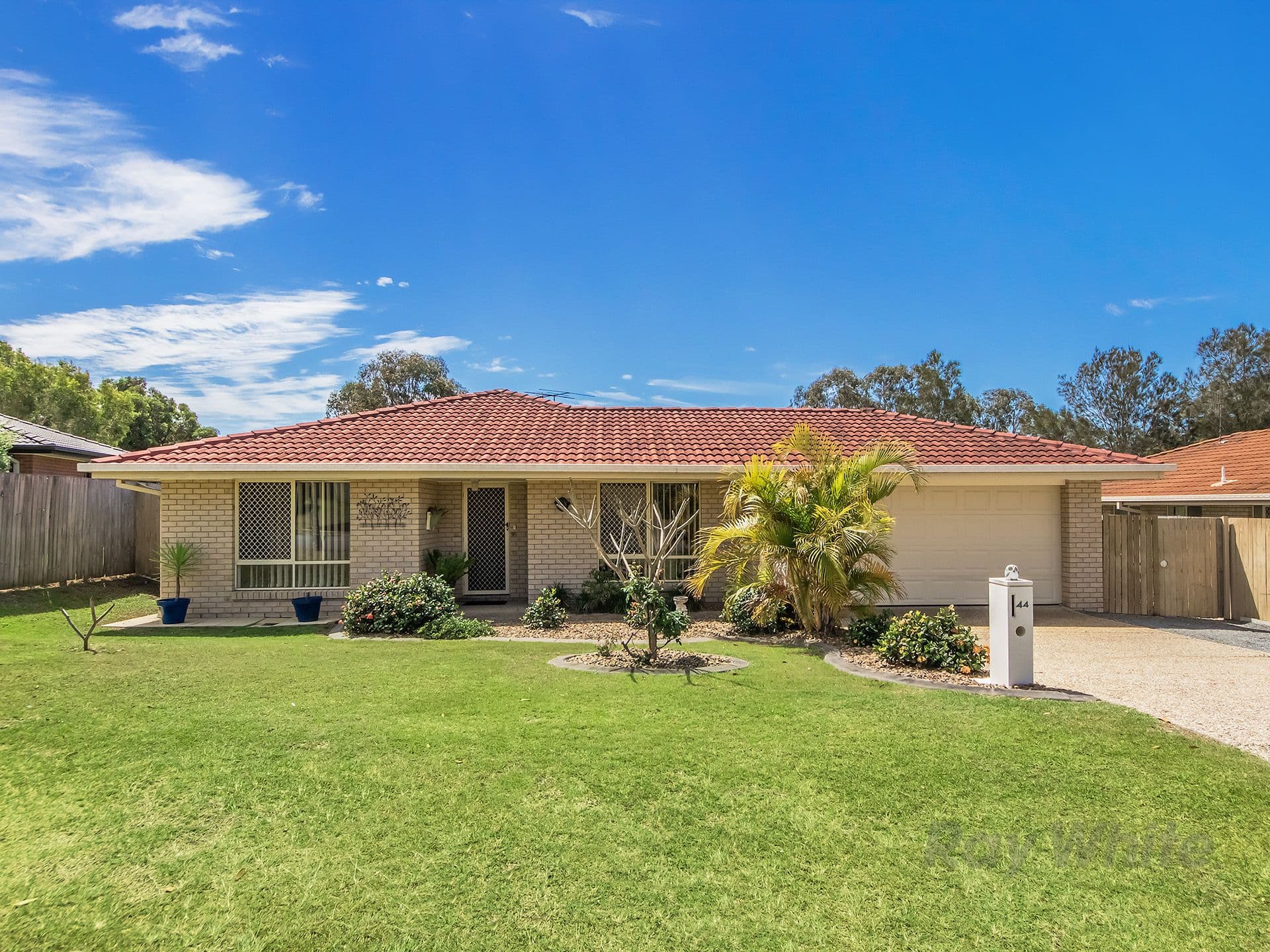44 Reedmans Road, Ormeau QLD 4208, Ormeau - Thumbnail 5