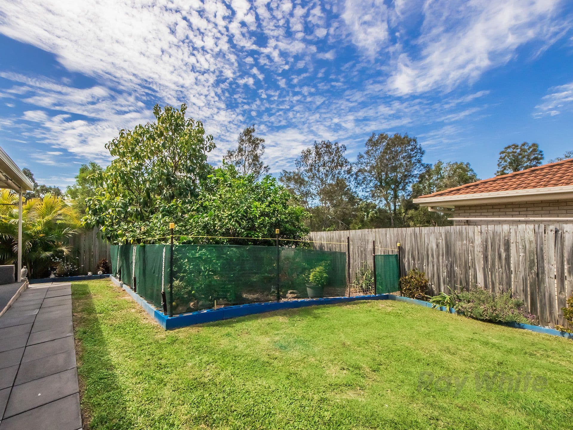 44 Reedmans Road, Ormeau QLD 4208, Ormeau - Thumbnail 8