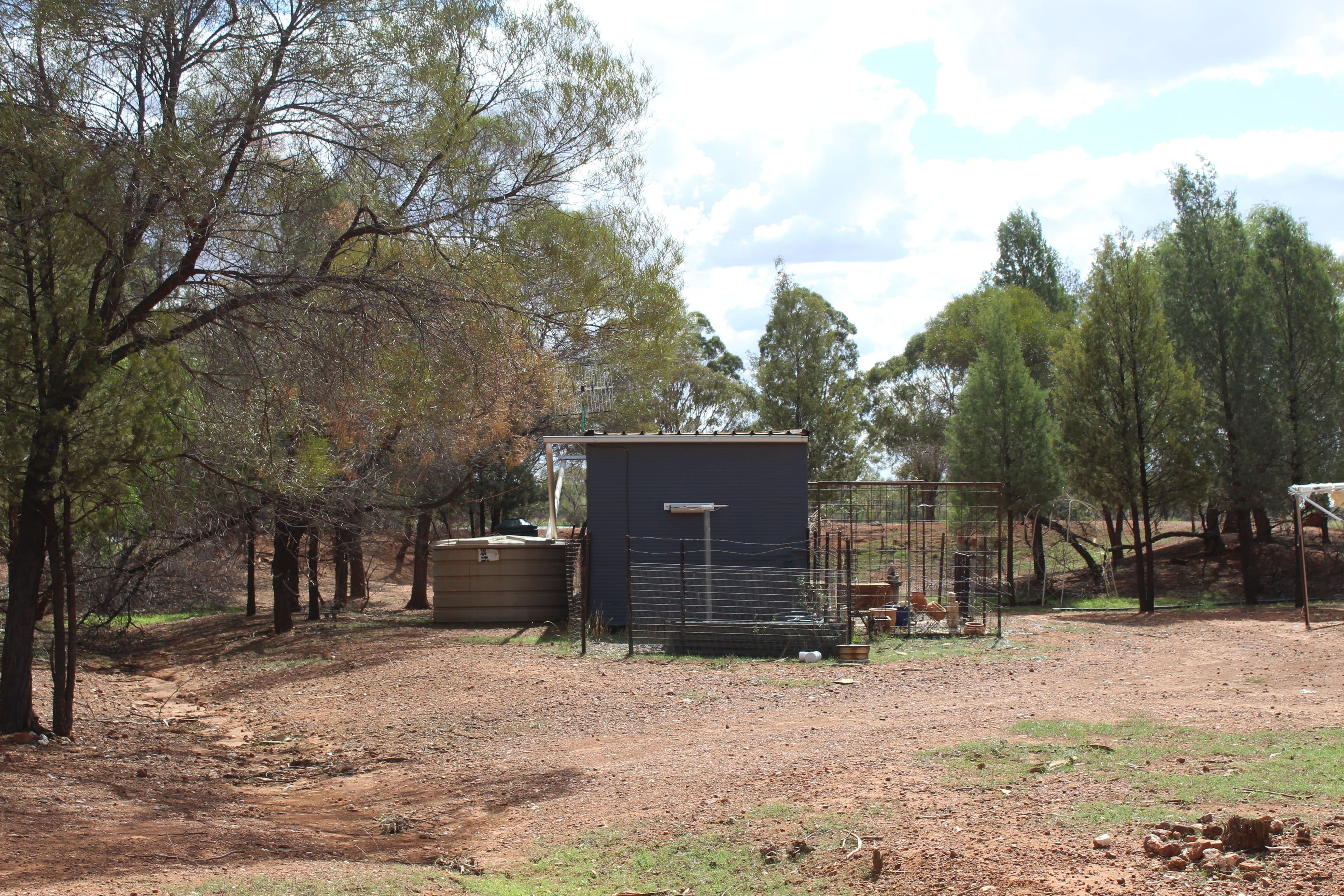 Lot 498 Bivana Street, Peak Hill NSW 2869, Peak Hill - Thumbnail 3