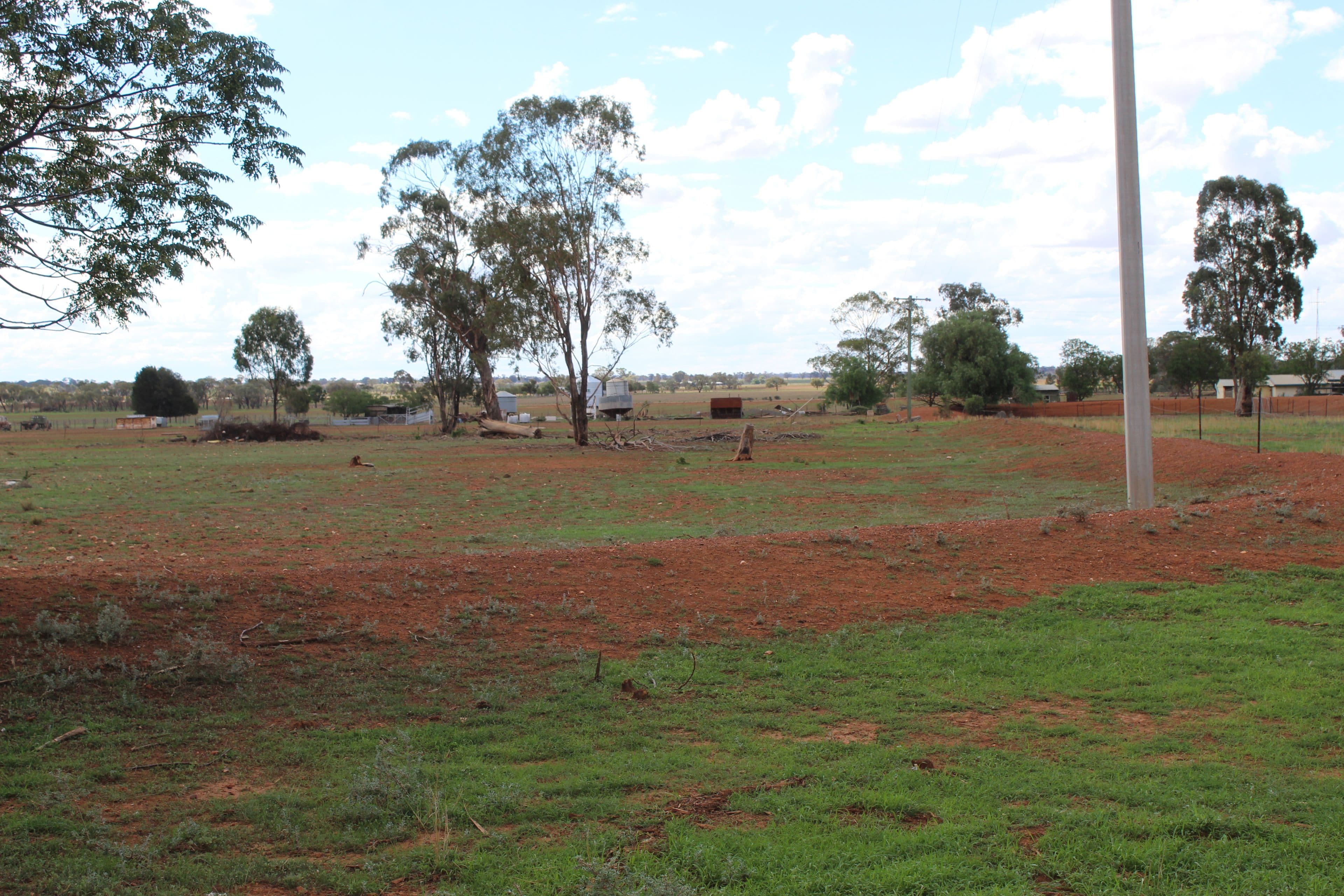 Lot 498 Bivana Street, Peak Hill NSW 2869, Peak Hill - Thumbnail 7