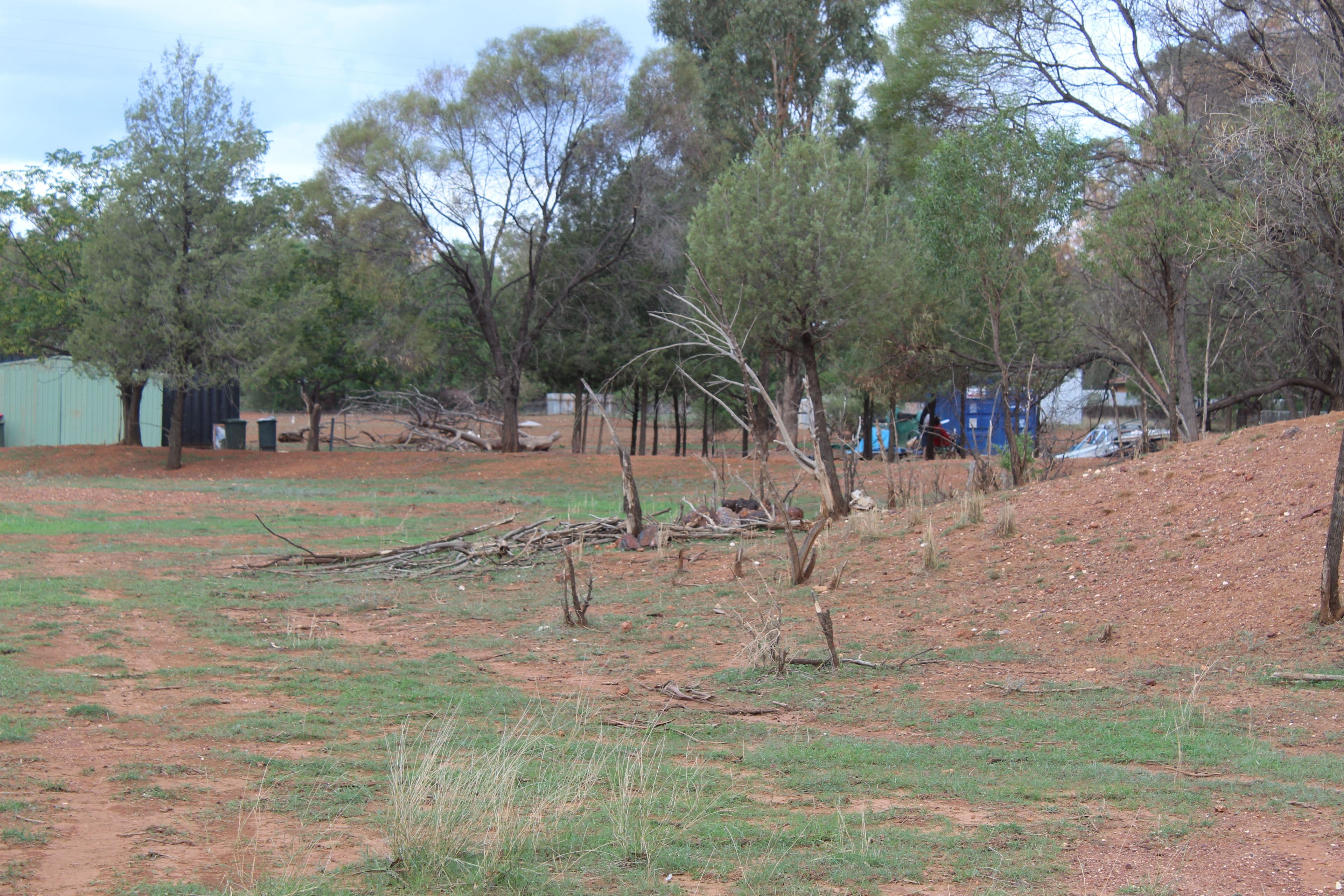 Lot 498 Bivana Street, Peak Hill NSW 2869, Peak Hill - Thumbnail 8