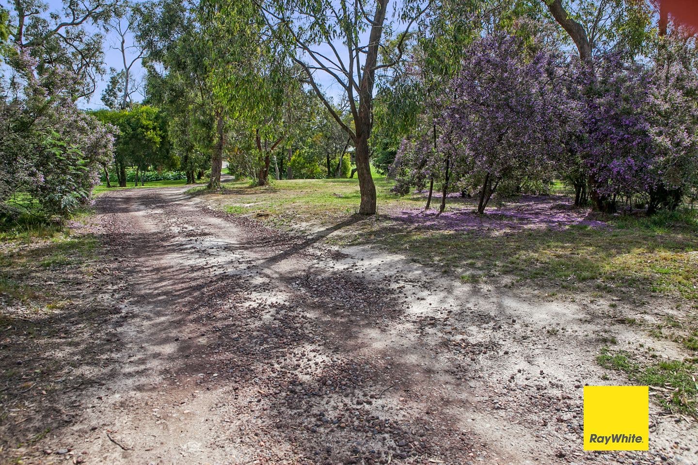 33 Grassmere Road, Langwarrin VIC 3910, Langwarrin - Thumbnail 6