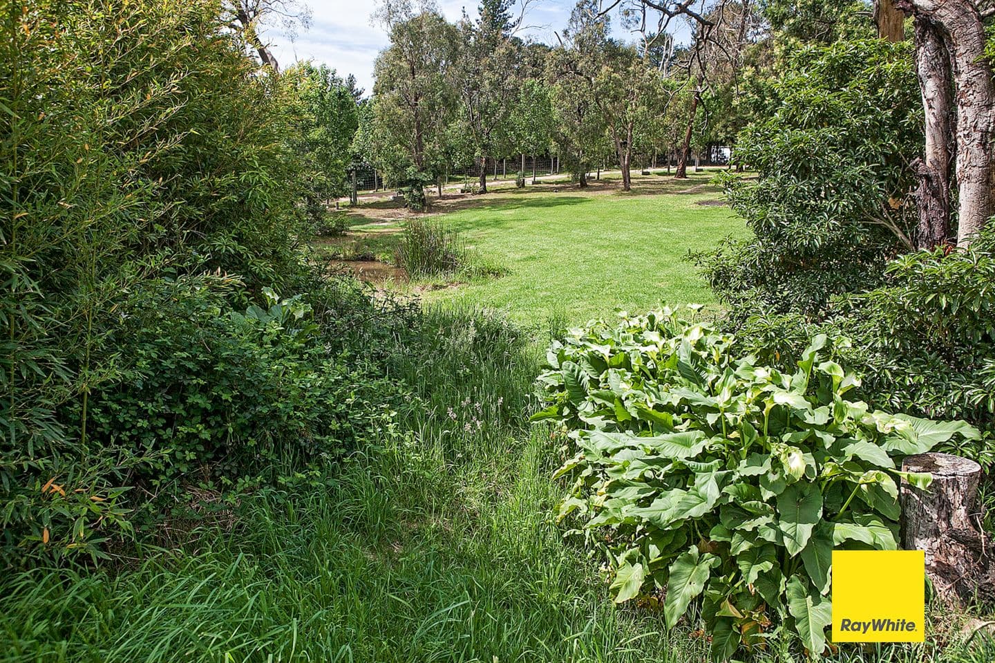 33 Grassmere Road, Langwarrin VIC 3910, Langwarrin - Thumbnail 8