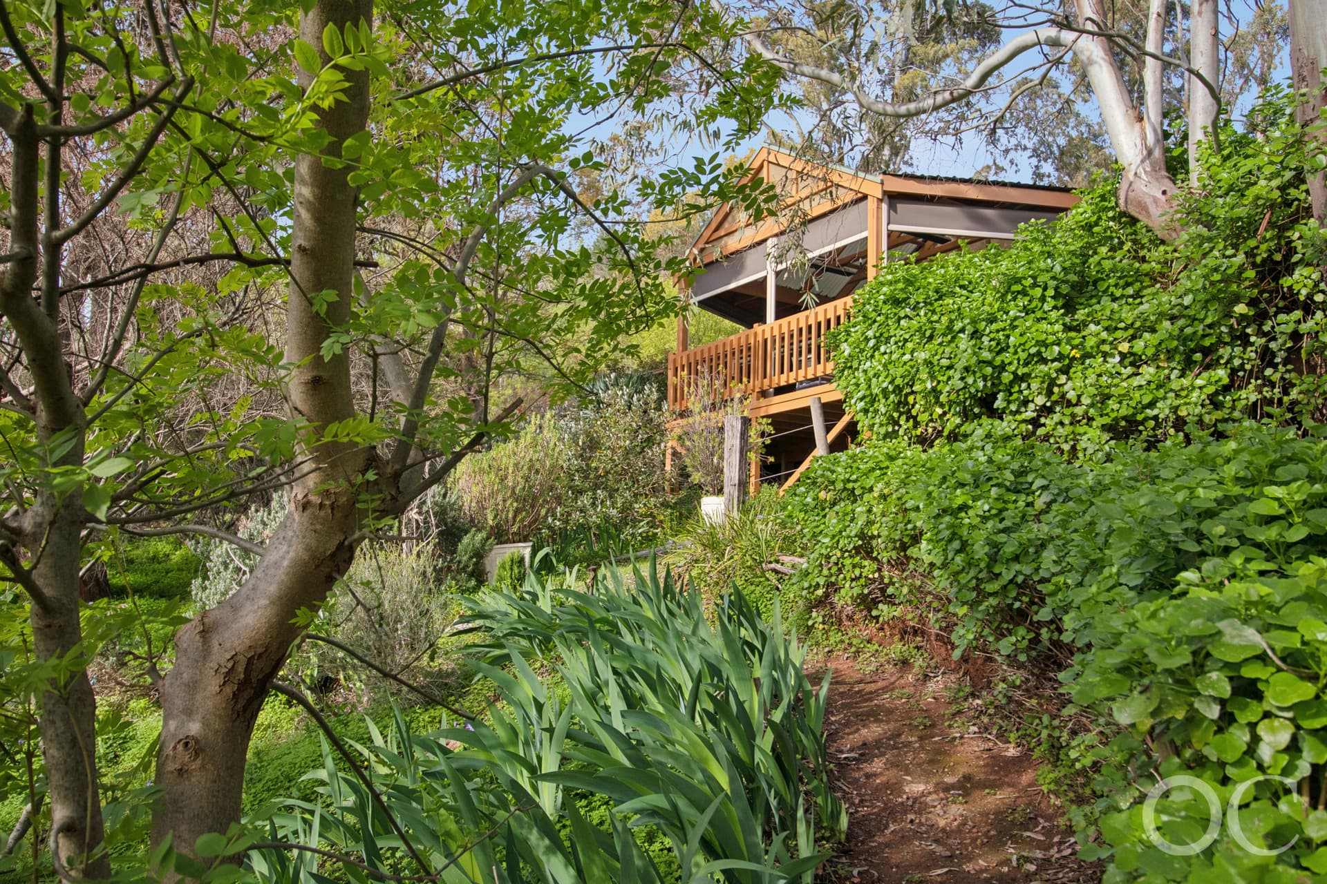 76 Turners Avenue, Hawthorndene - Thumbnail 3