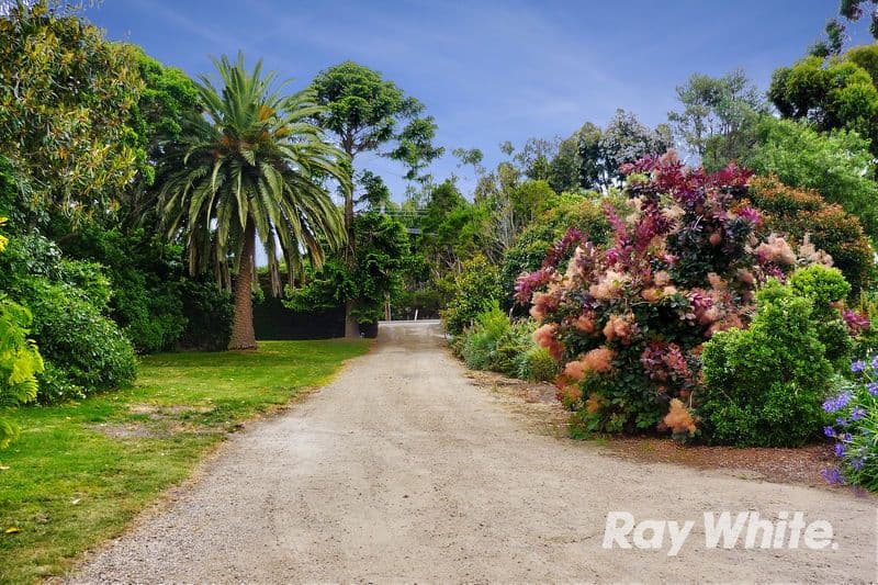 195 Jones Road, SOMERVILLE VIC 3912, Somerville - Thumbnail 2