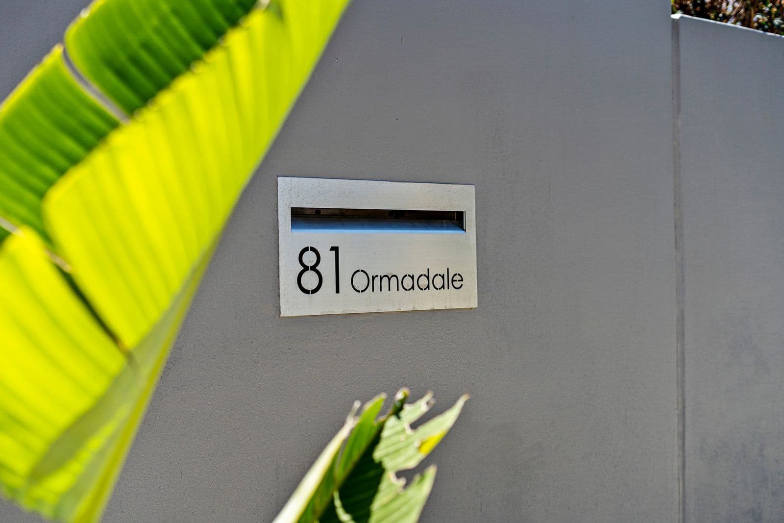 81 Ormadale Road, Yeronga QLD 4104, Yeronga - Thumbnail 3
