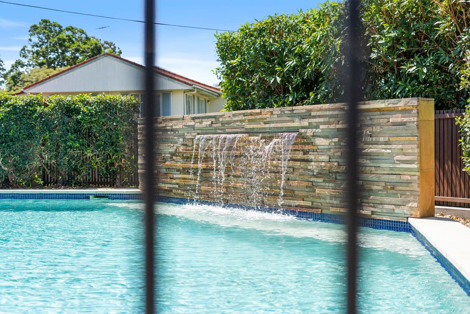 81 Ormadale Road, Yeronga QLD 4104, Yeronga - Thumbnail 6