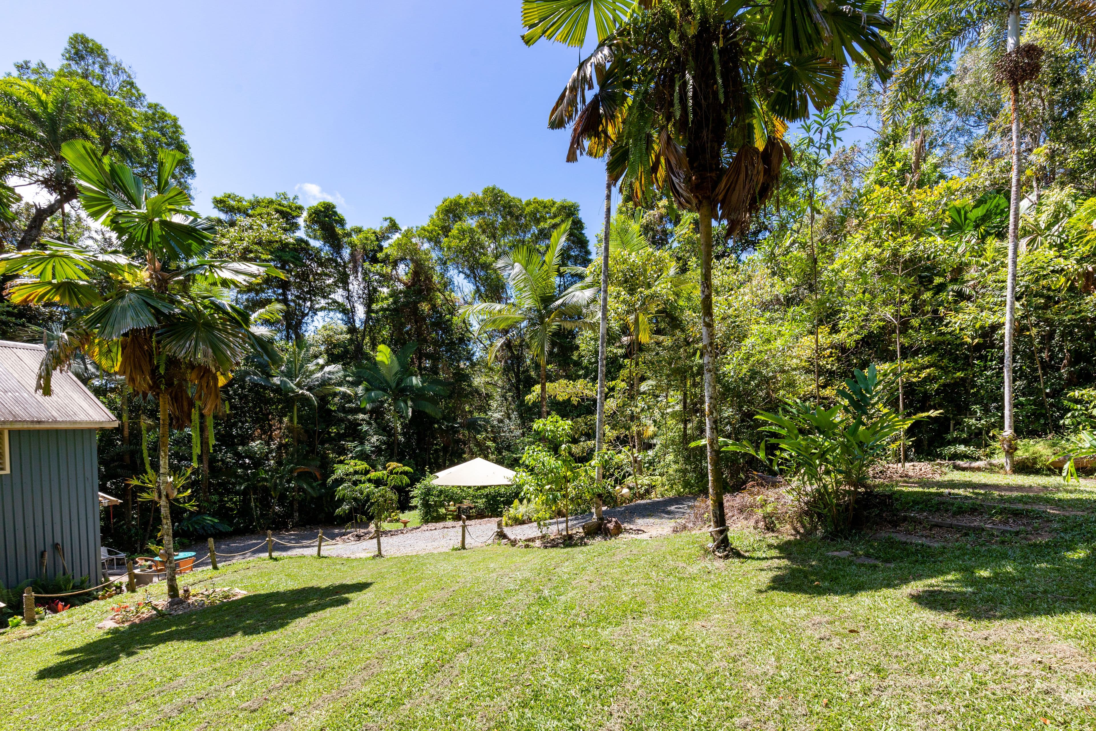 82 Maple Road, COW BAY,, Daintree QLD 4873, Daintree - Thumbnail 8
