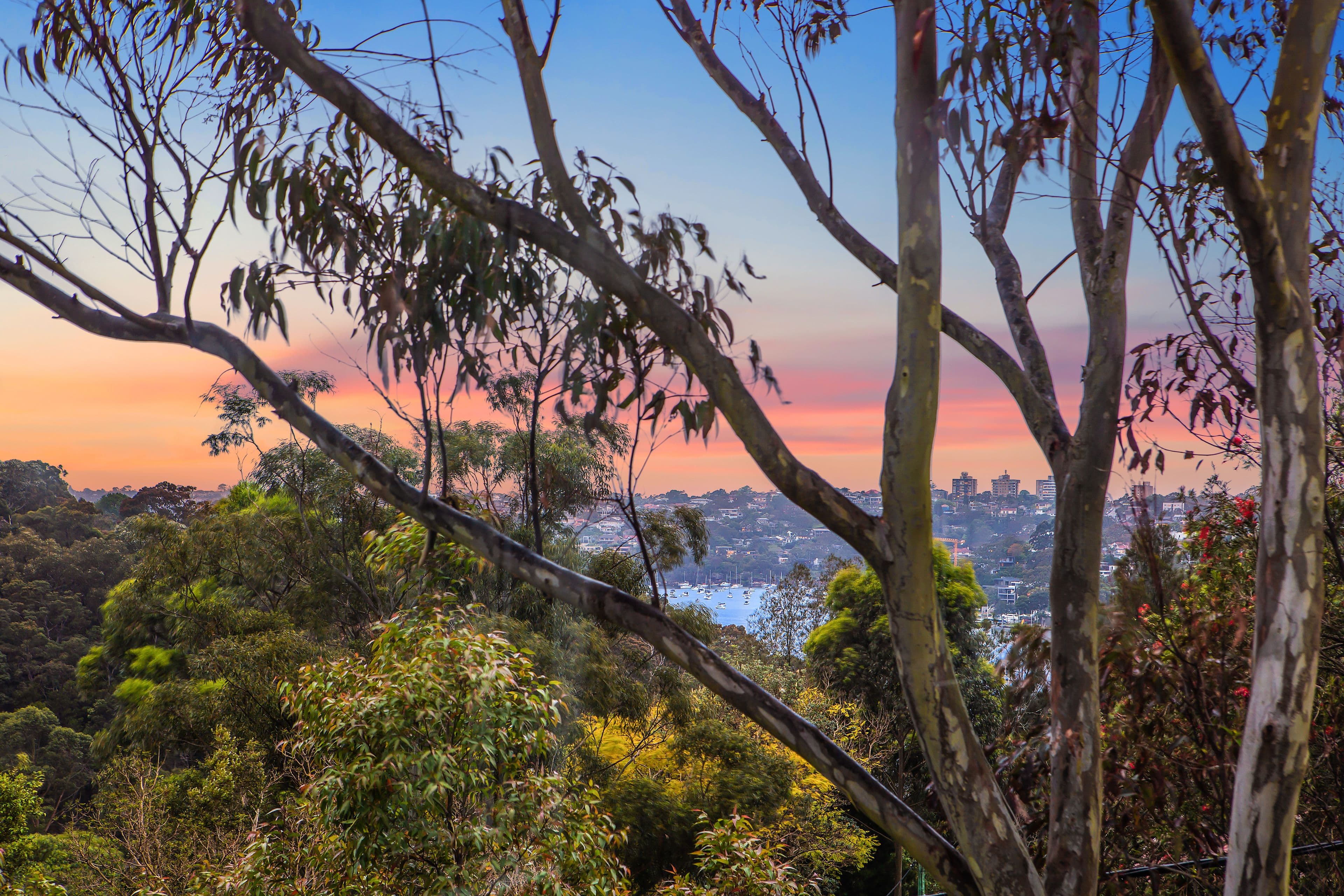 9 Rowlison Parade, Cammeray NSW 2062, Cammeray - Thumbnail 3