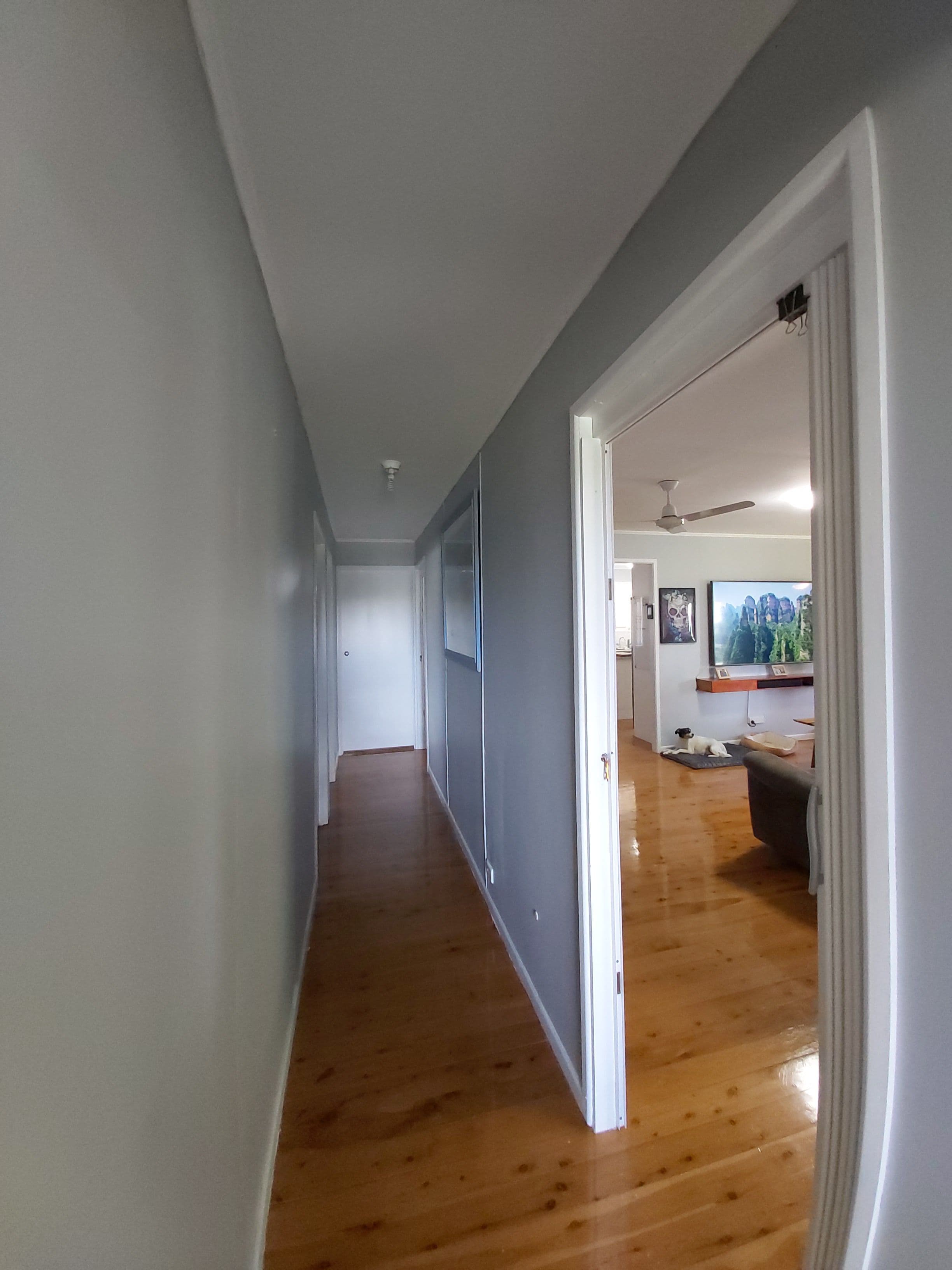 7 Margetts Street, Pittsworth QLD 4356, Pittsworth - Thumbnail 8