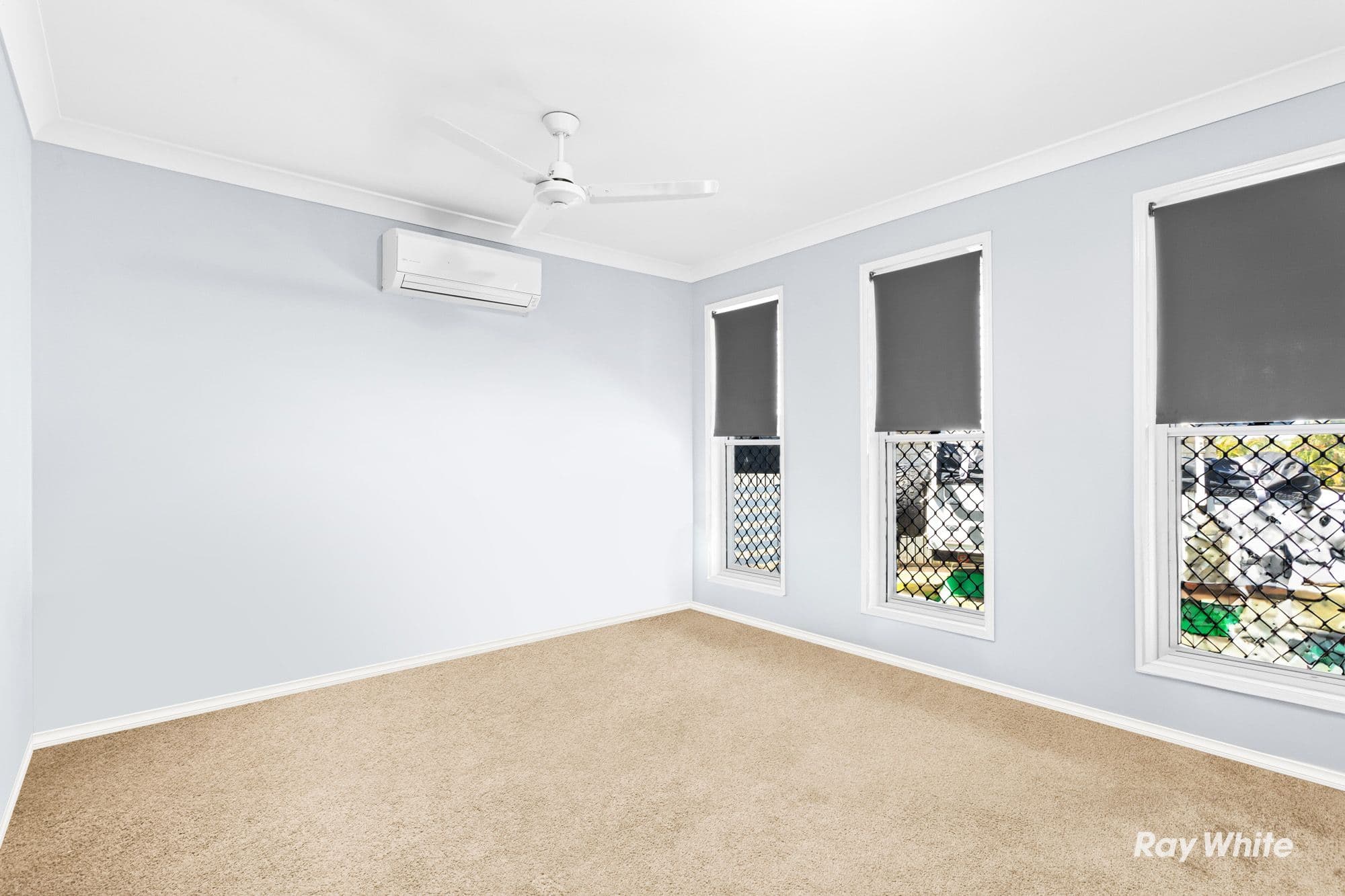 6 Carmel Court, Lammermoor QLD 4703, Lammermoor - Thumbnail 3