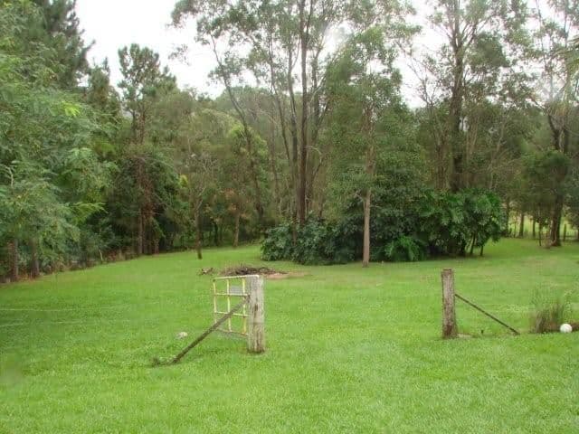 238 Worongary Road, WORONGARY QLD 4213, Worongary - Image 1