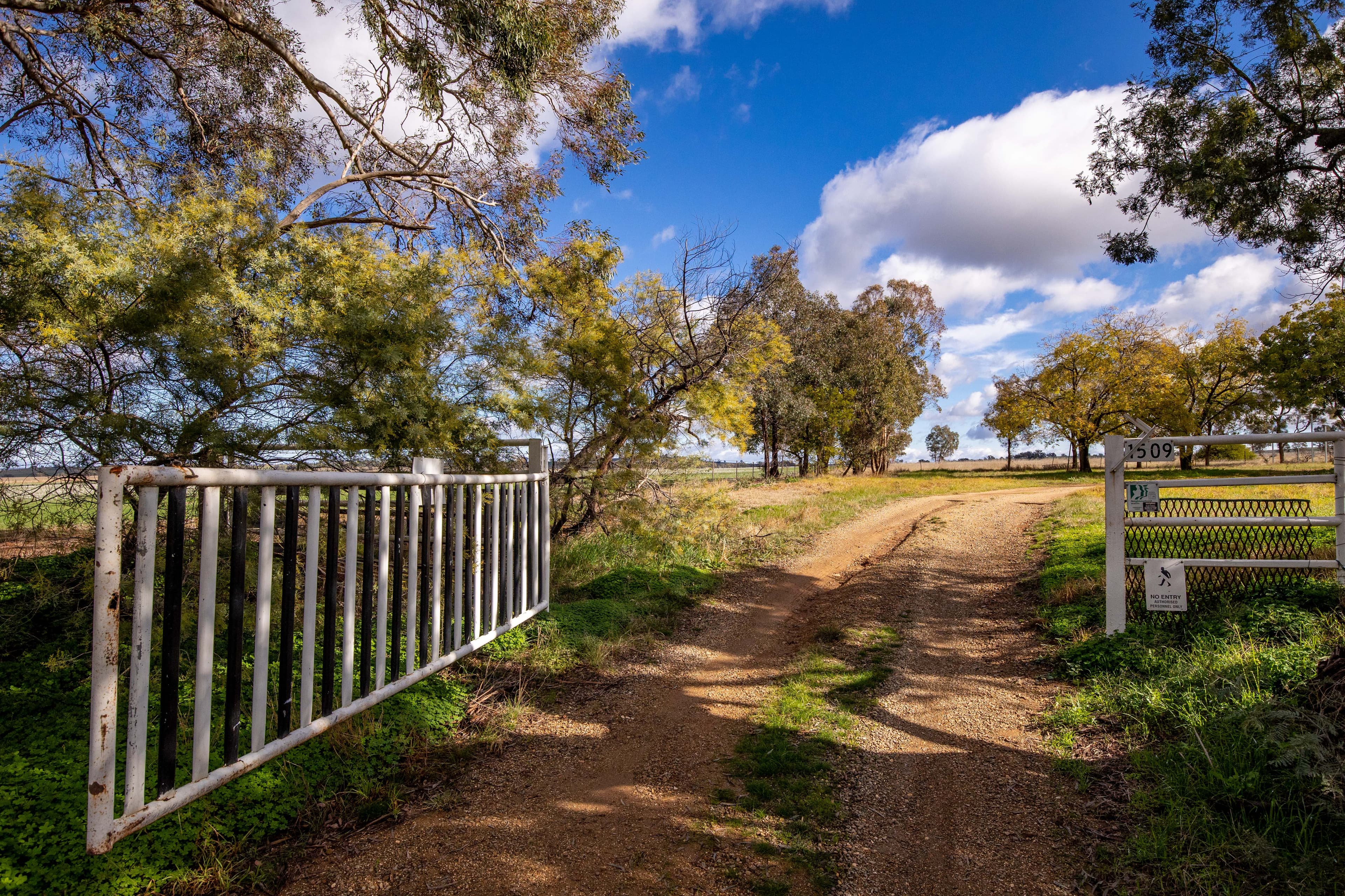 1509 Olympic Highway, Brucedale NSW 2650, Brucedale - Thumbnail 2