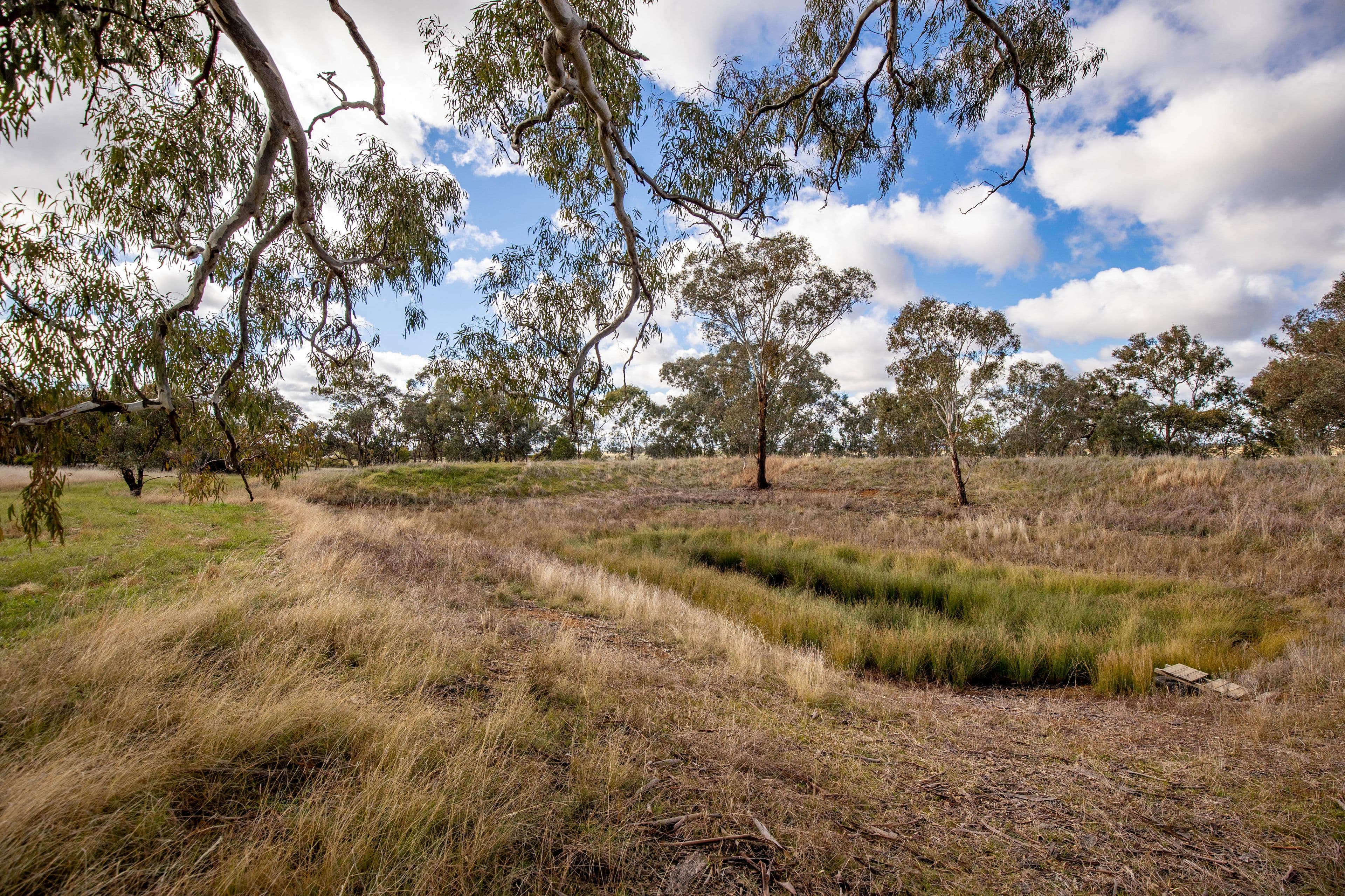 1509 Olympic Highway, Brucedale NSW 2650, Brucedale - Thumbnail 3