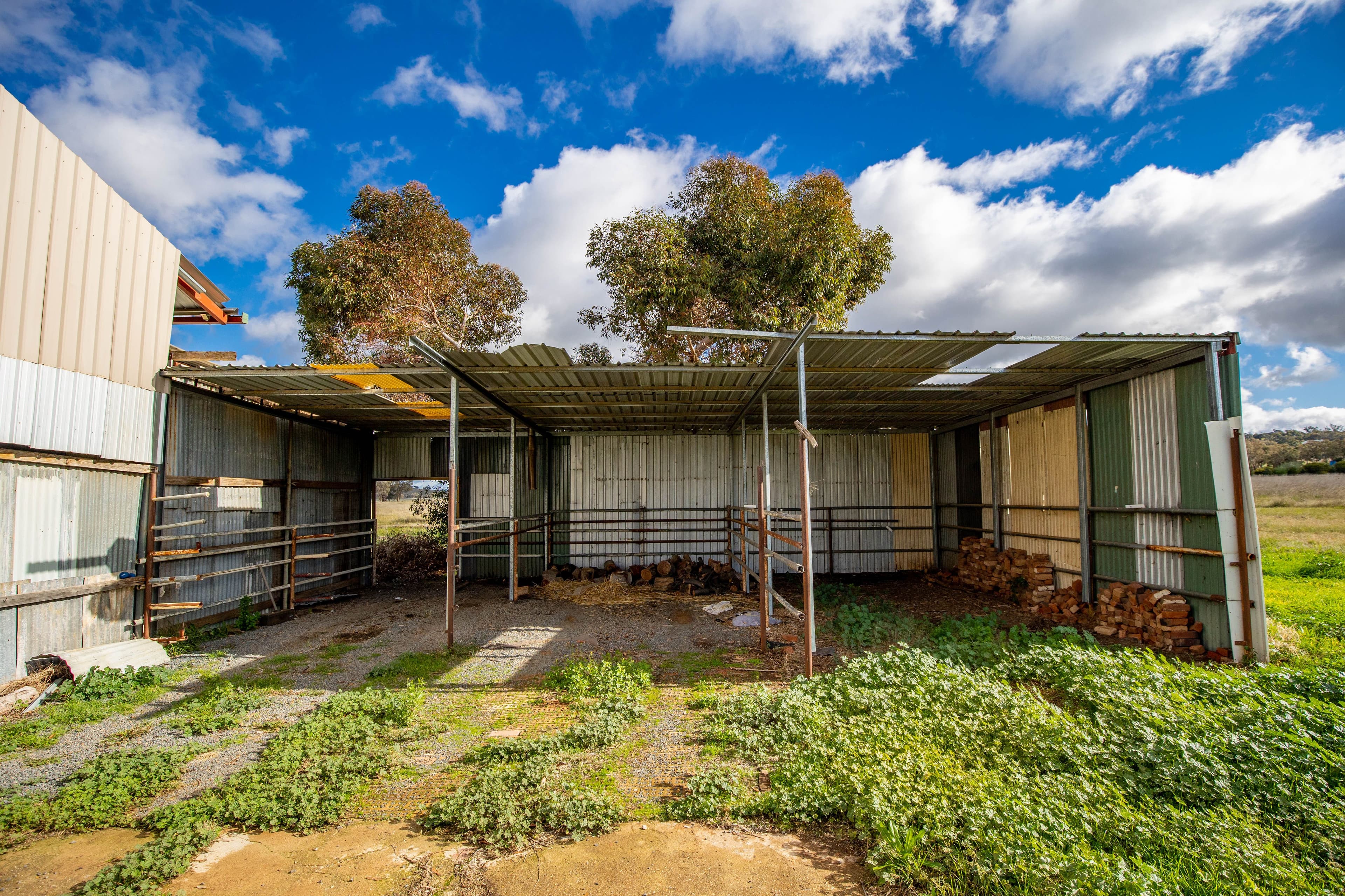 1509 Olympic Highway, Brucedale NSW 2650, Brucedale - Thumbnail 4