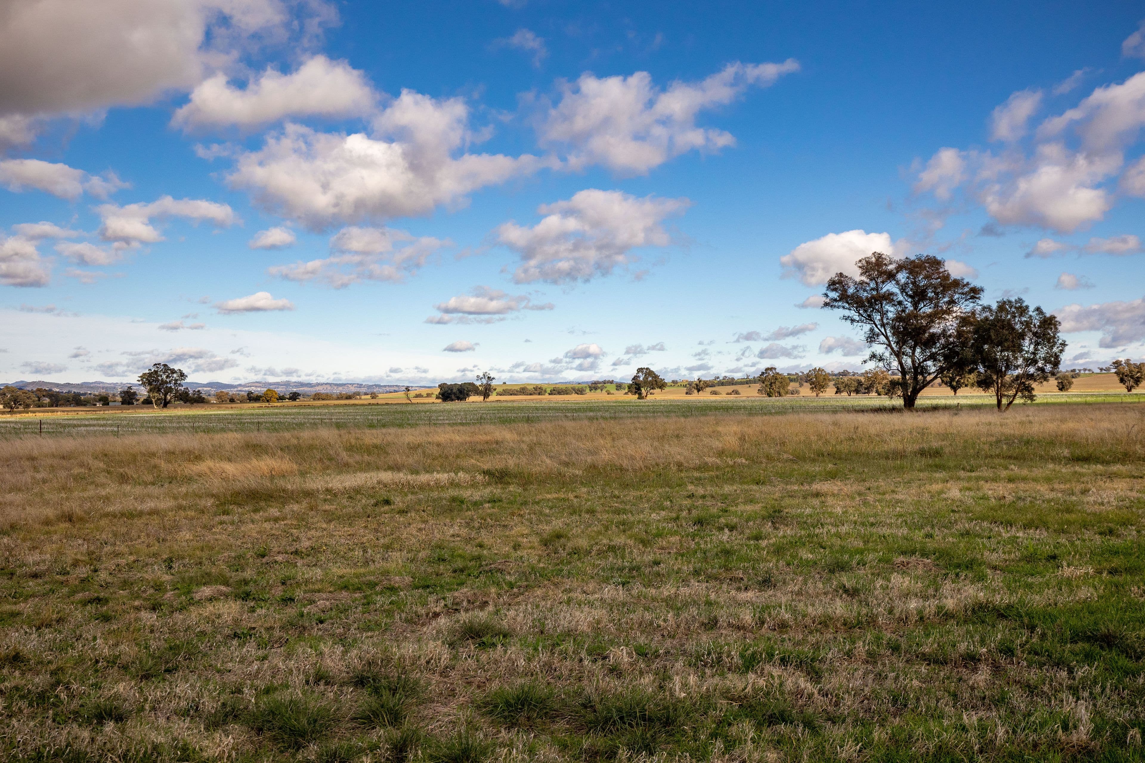 1509 Olympic Highway, Brucedale NSW 2650, Brucedale - Thumbnail 6