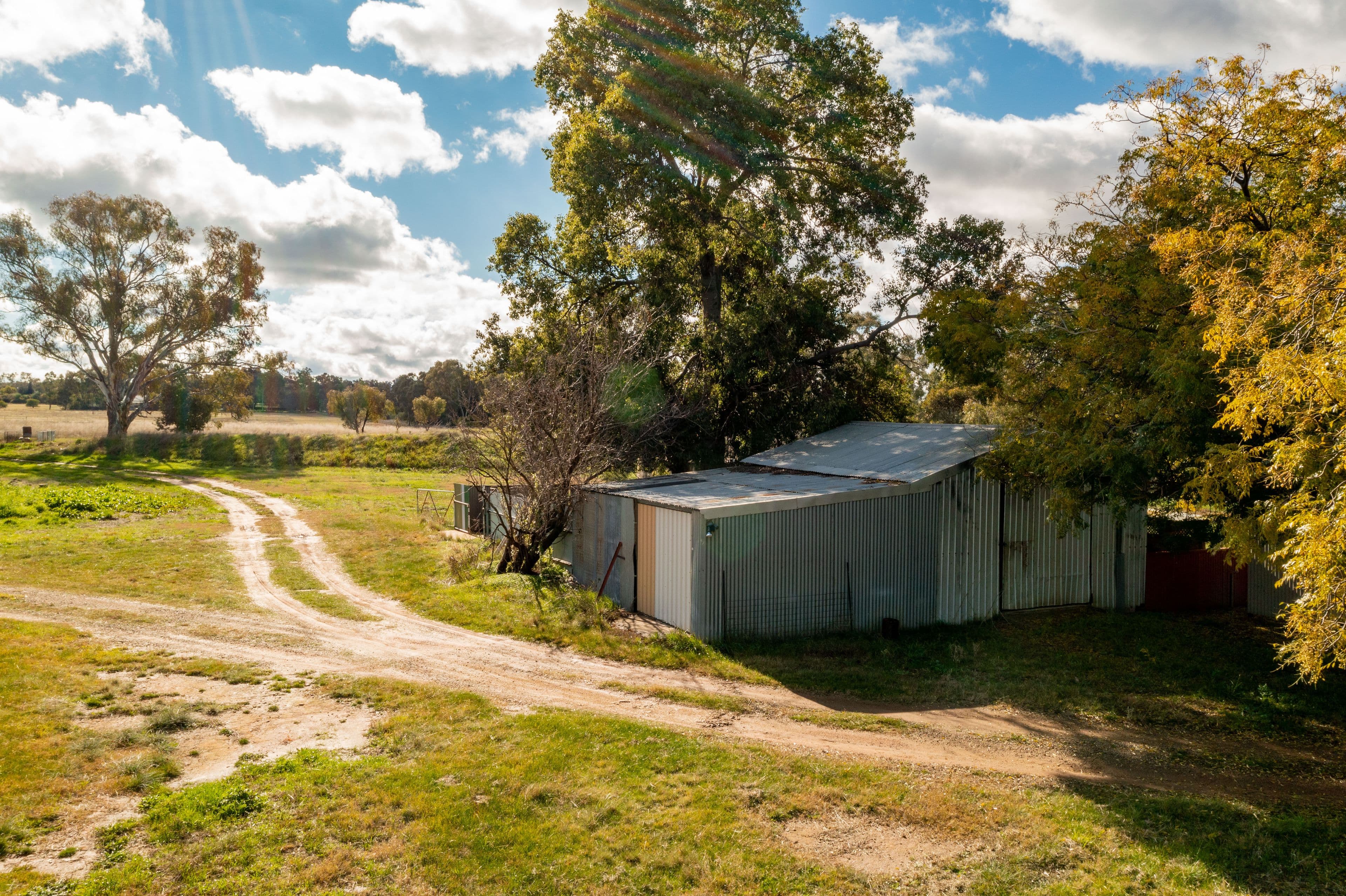 1509 Olympic Highway, Brucedale NSW 2650, Brucedale - Thumbnail 7